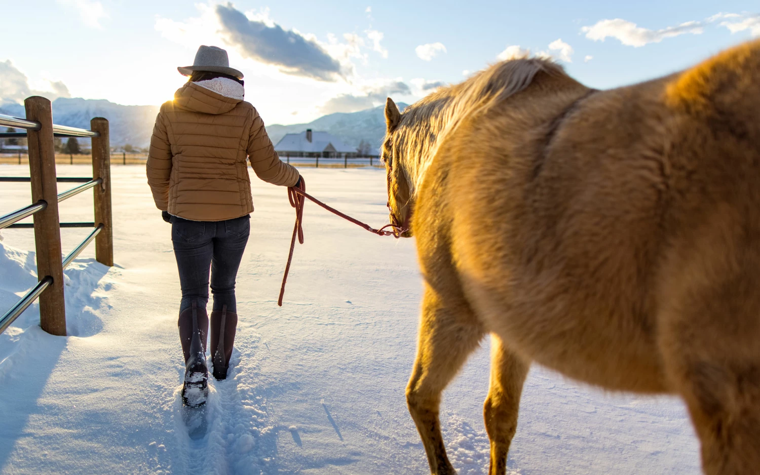 Muck online Store -Muck online Store 2021 1209 fleecehale desktop